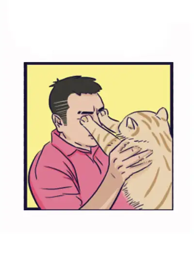 动物为什么这么可爱？