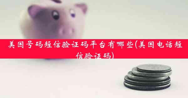 美国号码短信验证码平台有哪些(美国电话短信验证码)