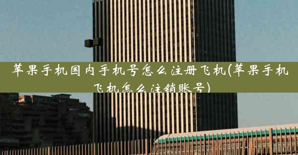 苹果手机国内手机号怎么注册飞机(苹果手机飞机怎么注销账号)