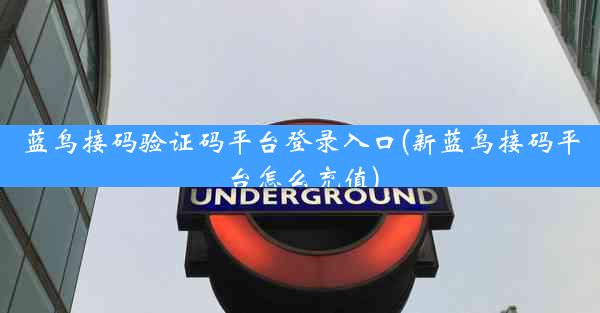 蓝鸟接码验证码平台登录入口(新蓝鸟接码平台怎么充值)