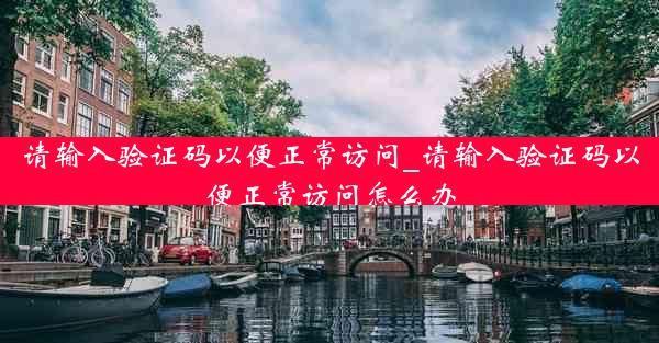 请输入验证码以便正常访问_请输入验证码以便正常访问怎么办