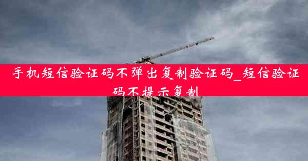 手机短信验证码不弹出复制验证码_短信验证码不提示复制