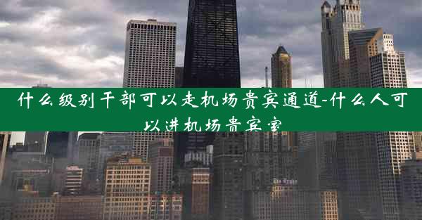 什么级别干部可以走机场贵宾通道-什么人可以进机场贵宾室