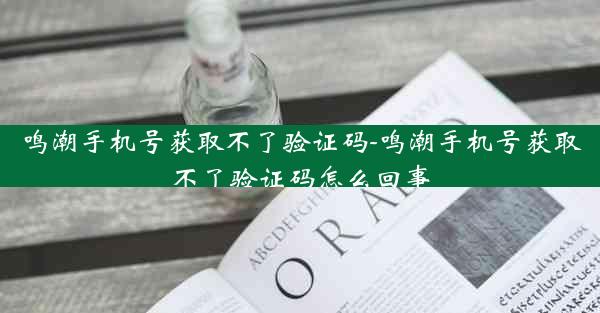 鸣潮手机号获取不了验证码-鸣潮手机号获取不了验证码怎么回事