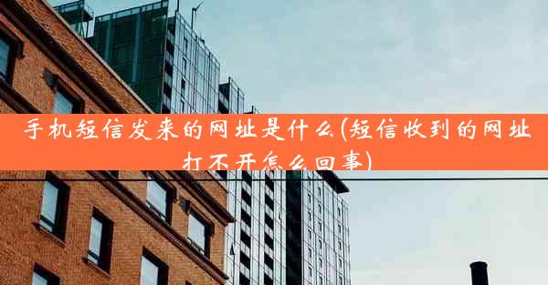 手机短信发来的网址是什么(短信收到的网址打不开怎么回事)
