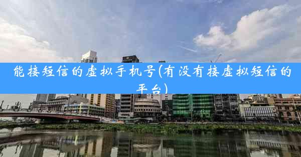 能接短信的虚拟手机号(有没有接虚拟短信的平台)