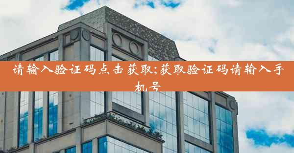 请输入验证码点击获取;获取验证码请输入手机号