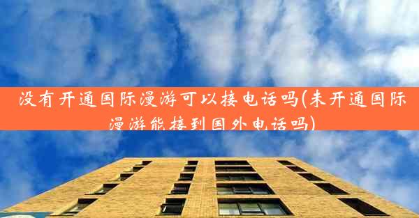 没有开通国际漫游可以接电话吗(未开通国际漫游能接到国外电话吗)
