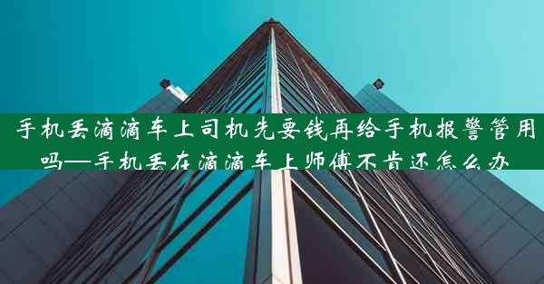 手机丢滴滴车上司机先要钱再给手机报警管用吗—手机丢在滴滴车上师傅不肯还怎么办