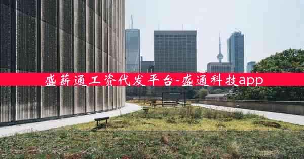 盛薪通工资代发平台-盛通科技app