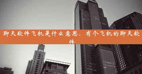 聊天软件飞机是什么意思、有个飞机的聊天软件