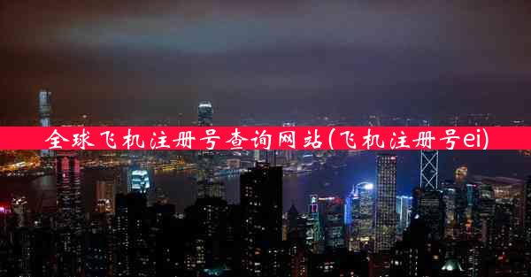 全球飞机注册号查询网站(飞机注册号ei)