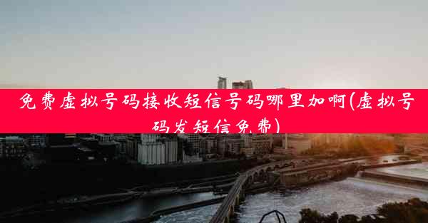 免费虚拟号码接收短信号码哪里加啊(虚拟号码发短信免费)