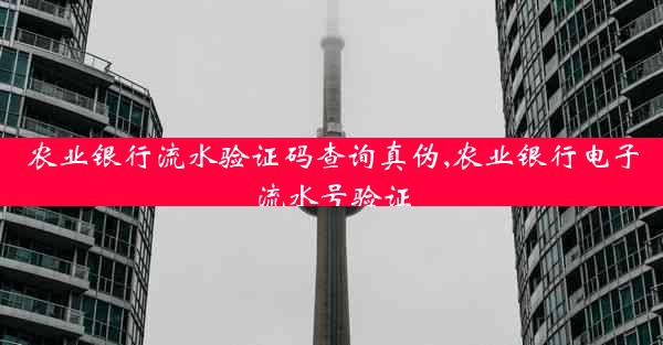农业银行流水验证码查询真伪,农业银行电子流水号验证