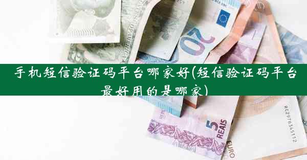 手机短信验证码平台哪家好(短信验证码平台最好用的是哪家)
