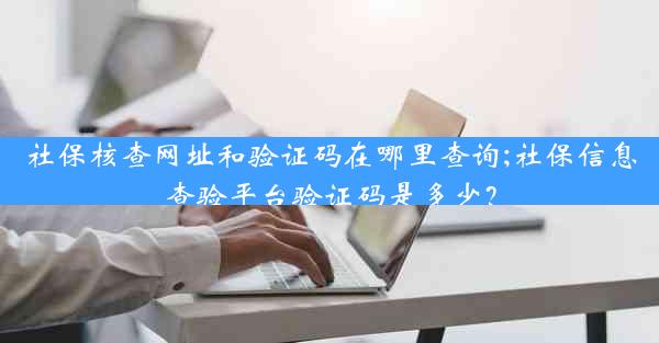 社保核查网址和验证码在哪里查询;社保信息查验平台验证码是多少？