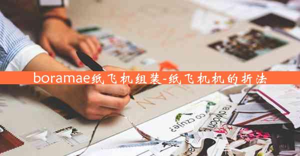 boramae纸飞机组装-纸飞机机的折法