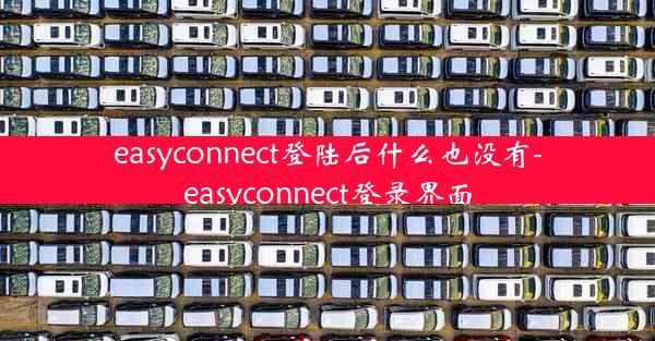 easyconnect登陆后什么也没有-easyconnect登录界面