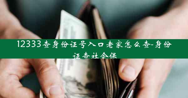 12333查身份证号入口老家怎么查-身份证查社会保