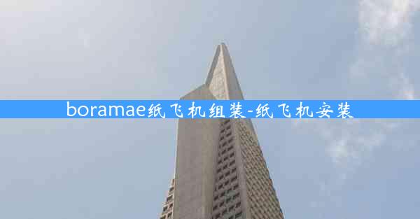 boramae纸飞机组装-纸飞机安装