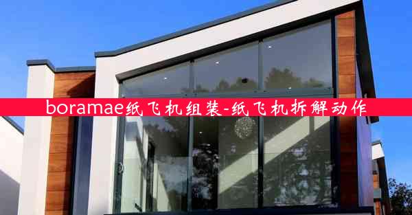 boramae纸飞机组装-纸飞机拆解动作