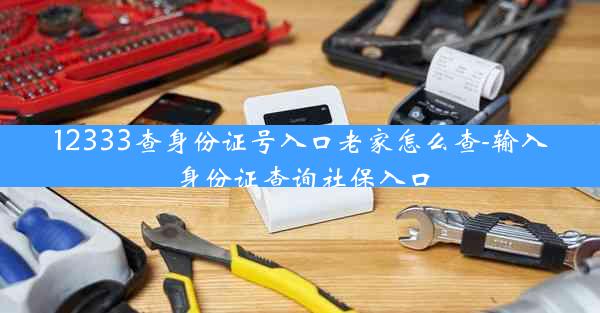 12333查身份证号入口老家怎么查-输入身份证查询社保入口