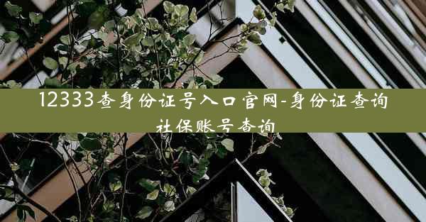 12333查身份证号入口官网-身份证查询社保账号查询