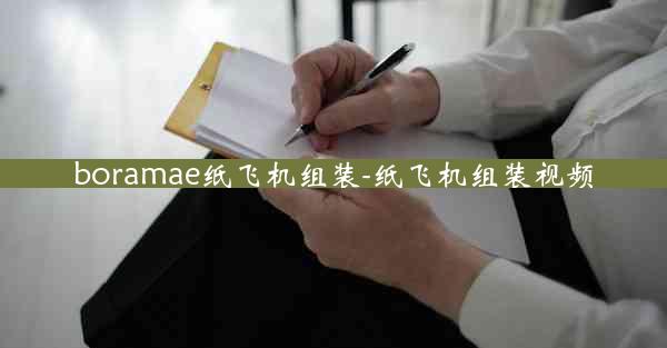 boramae纸飞机组装-纸飞机组装视频