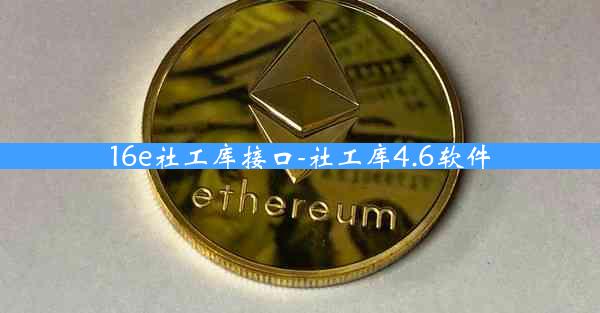 16e社工库接口-社工库4.6软件