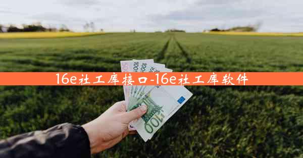 16e社工库接口-16e社工库软件