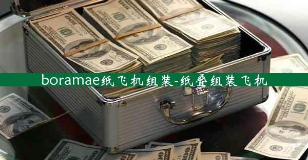 boramae纸飞机组装-纸叠组装飞机