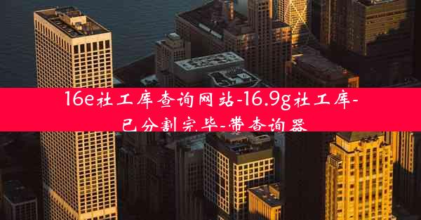 16e社工库查询网站-16.9g社工库-已分割完毕-带查询器