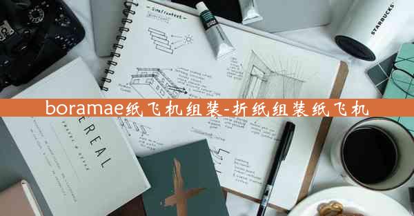 boramae纸飞机组装-折纸组装纸飞机