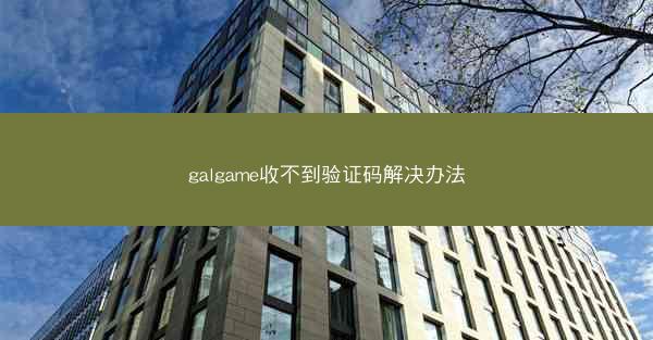 galgame收不到验证码解决办法