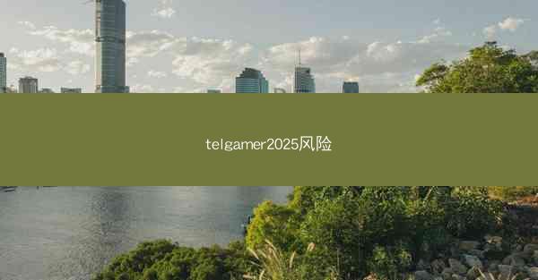 telgamer2025风险