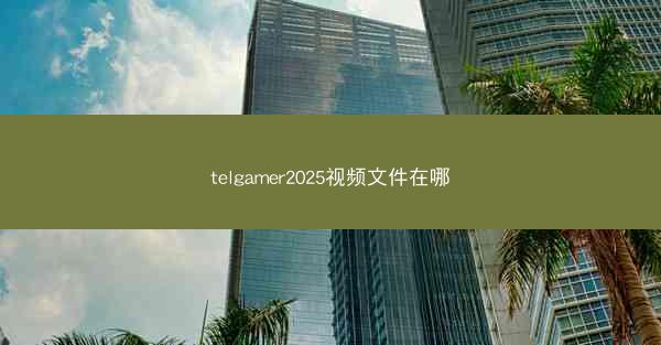 telgamer2025视频文件在哪