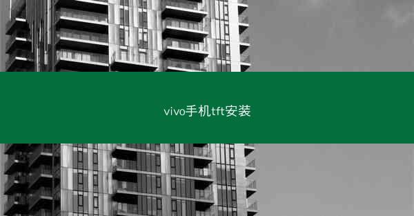 vivo手机tft安装