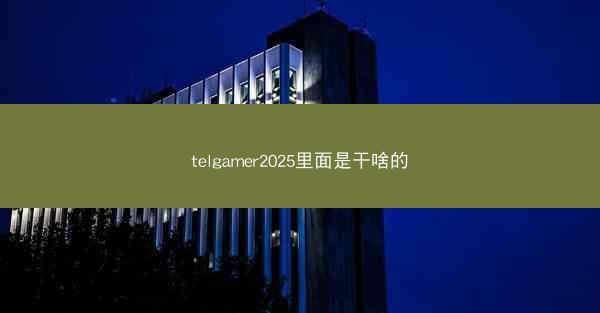 telgamer2025里面是干啥的