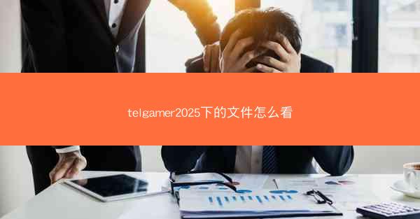 telgamer2025下的文件怎么看
