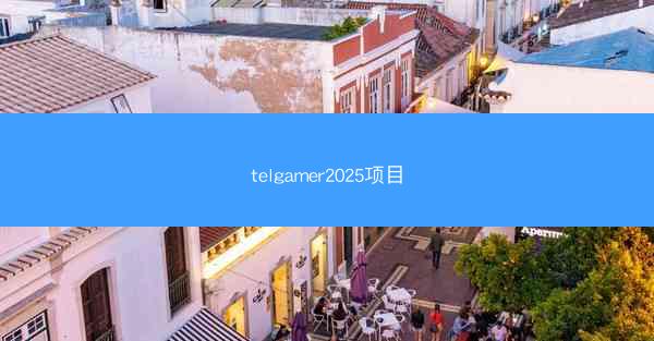 telgamer2025项目