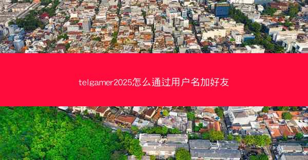 telgamer2025怎么通过用户名加好友