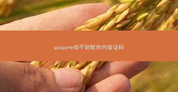galgame收不到软件内验证码