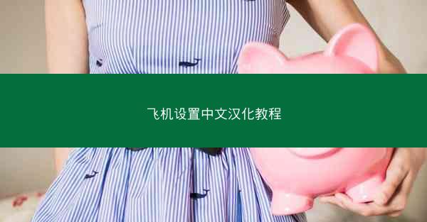 飞机设置中文汉化教程