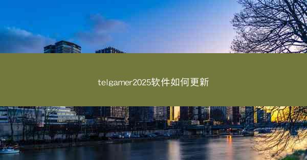 telgamer2025软件如何更新