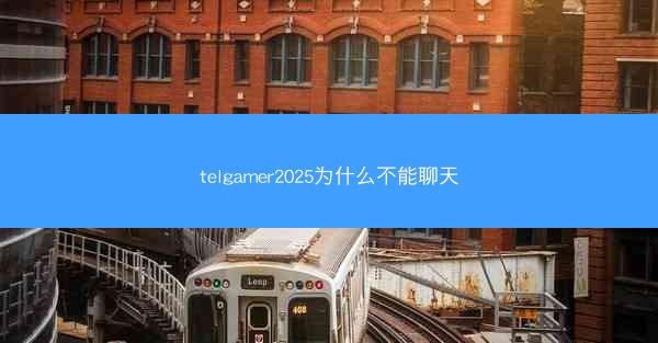 telgamer2025为什么不能聊天