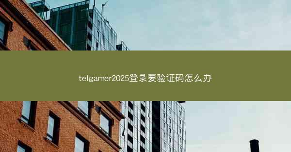 telgamer2025登录要验证码怎么办