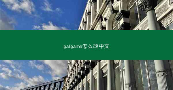 galgame怎么改中文