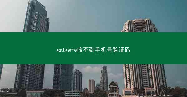 galgame收不到手机号验证码