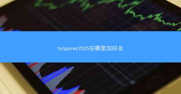 telgamer2025在哪里加好友