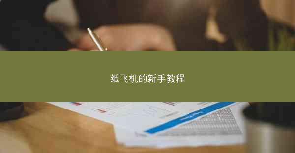 纸飞机的新手教程